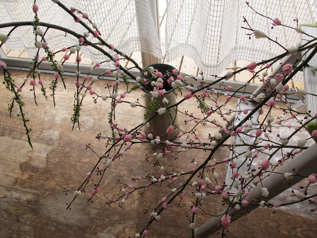 ����Ȃ��ƁE����Ȃ���