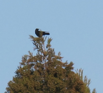 ����Ȃ��ƁE����Ȃ���