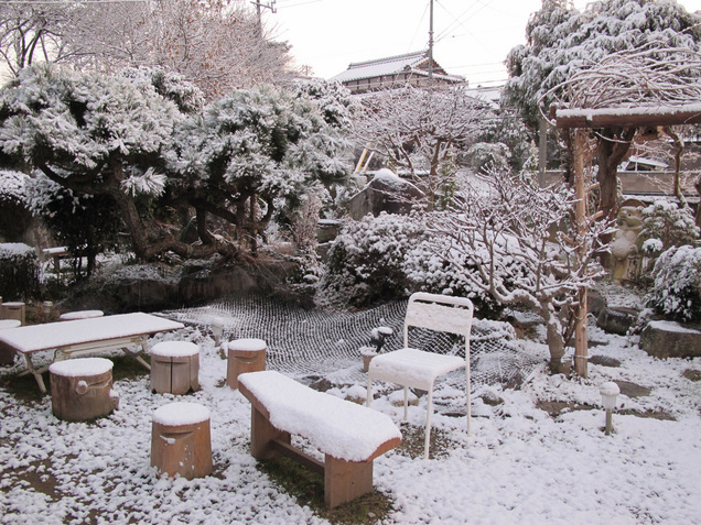 ����Ȃ��ƁE����Ȃ���