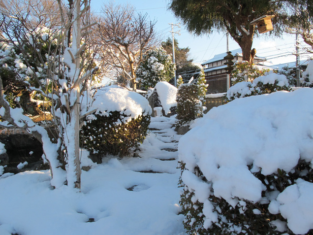 ����Ȃ��ƁE����Ȃ���