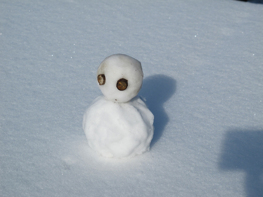 ����Ȃ��ƁE����Ȃ���