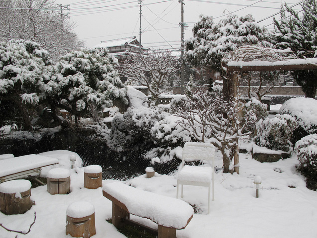 ����Ȃ��ƁE����Ȃ���