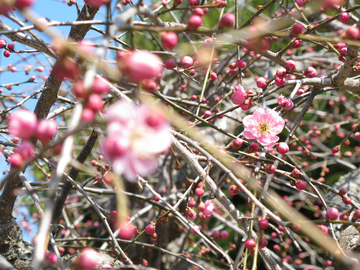 ����Ȃ��ƁE����Ȃ���