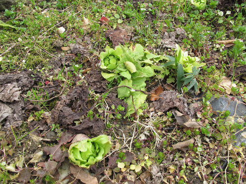 ����Ȃ��ƁE����Ȃ���