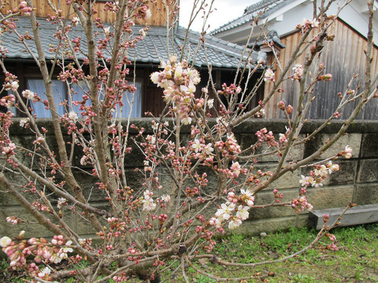 ����Ȃ��ƁE����Ȃ���