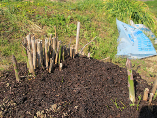 ����Ȃ��ƁE����Ȃ���