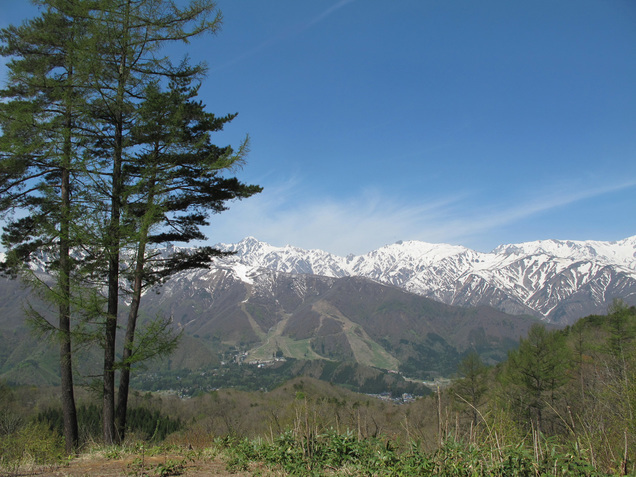 ����Ȃ��ƁE����Ȃ���