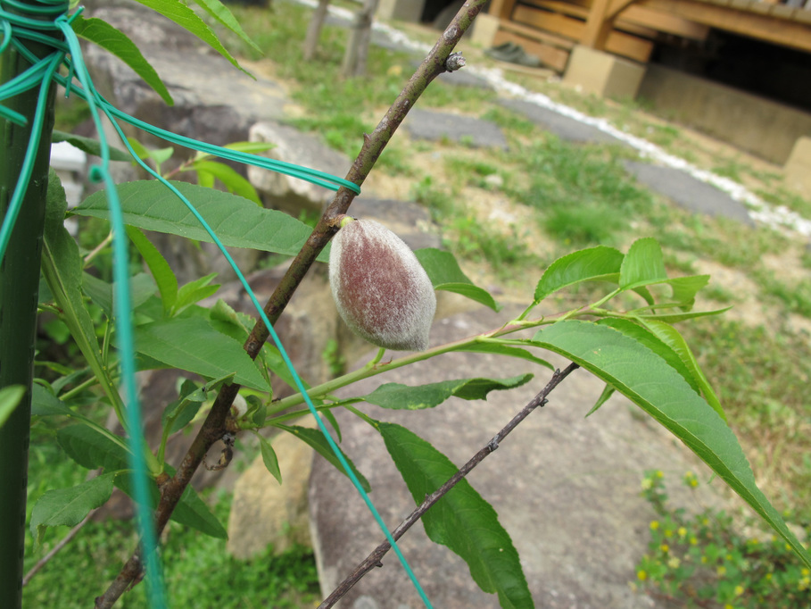 ����Ȃ��ƁE����Ȃ���