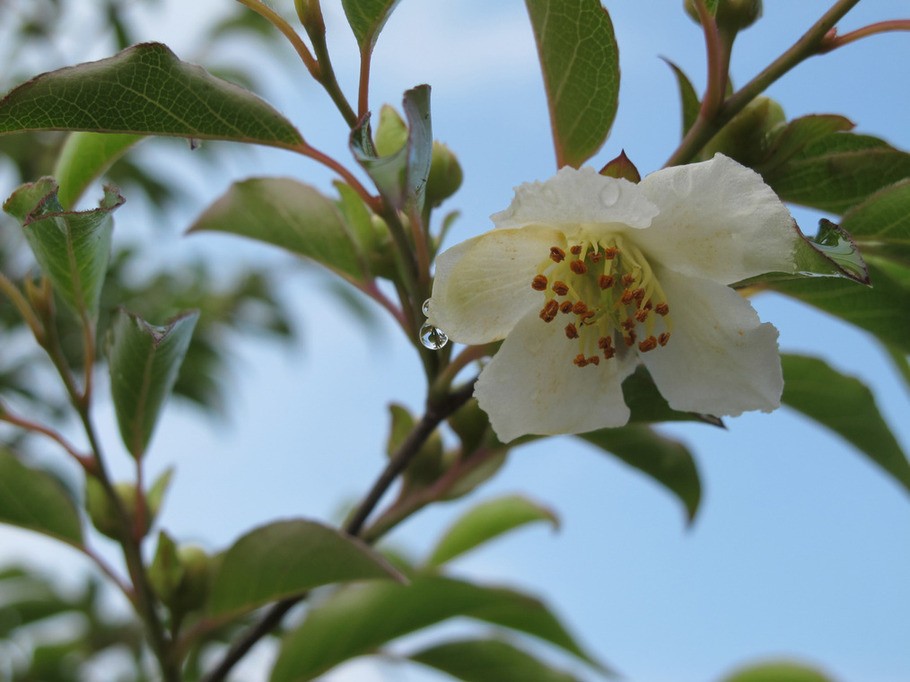 ����Ȃ��ƁE����Ȃ���