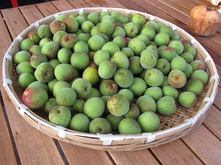 ����Ȃ��ƁE����Ȃ���