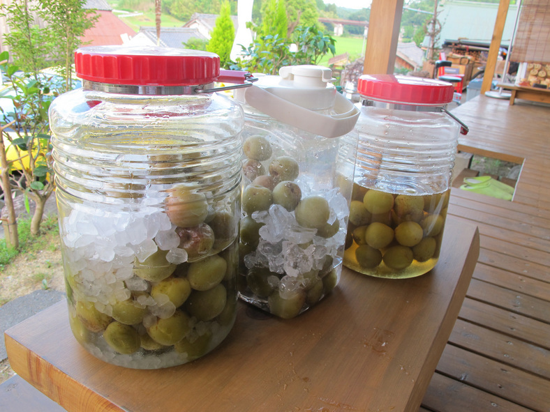 ����Ȃ��ƁE����Ȃ���