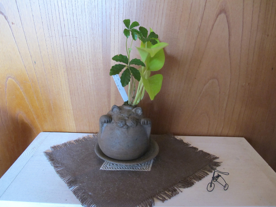 ����Ȃ��ƁE����Ȃ���