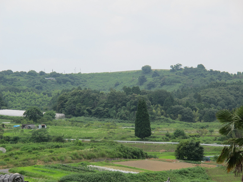 ����Ȃ��ƁE����Ȃ���