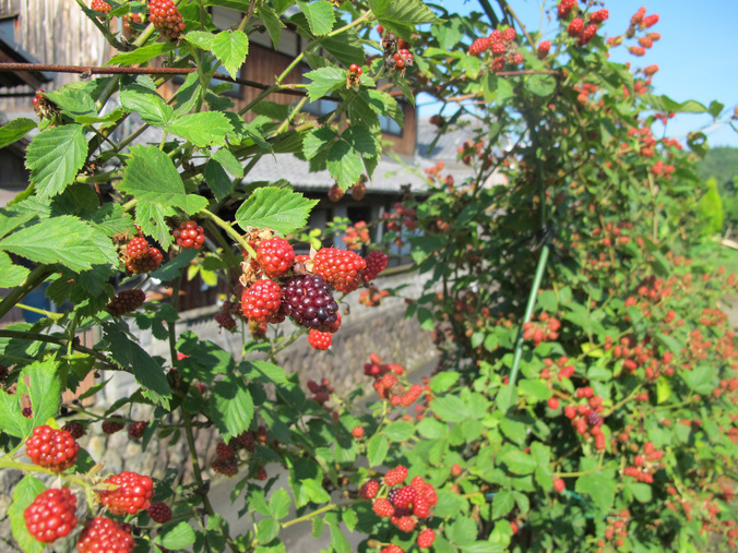 ����Ȃ��ƁE����Ȃ���