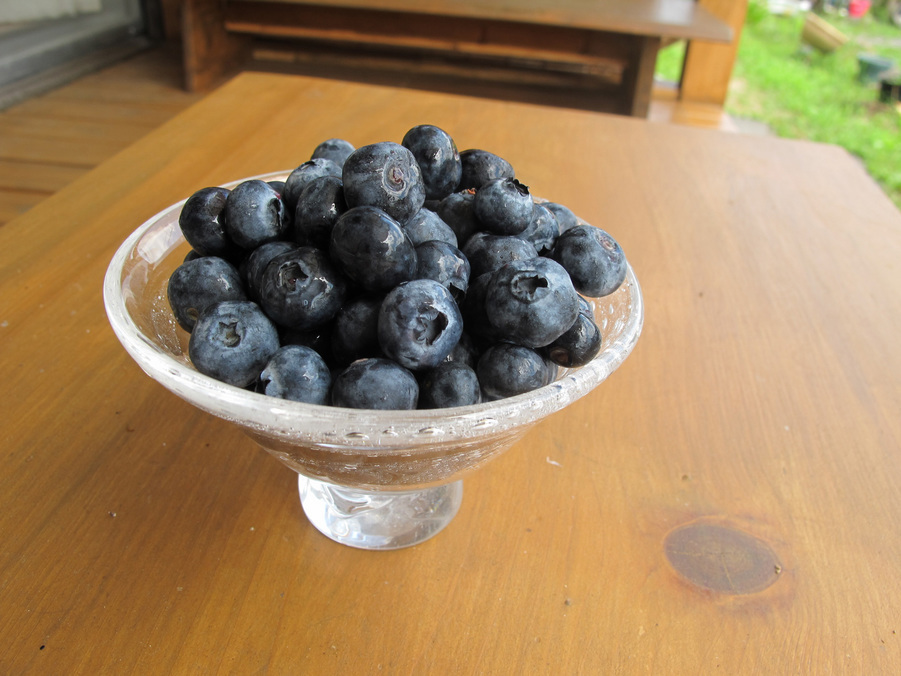 ����Ȃ��ƁE����Ȃ���