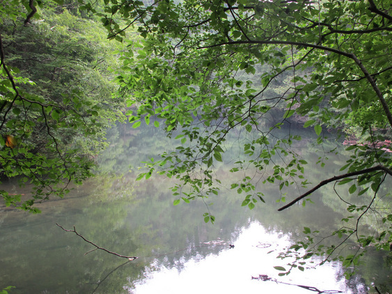 ����Ȃ��ƁE����Ȃ���