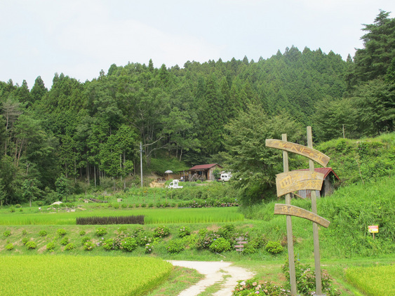 ����Ȃ��ƁE����Ȃ���