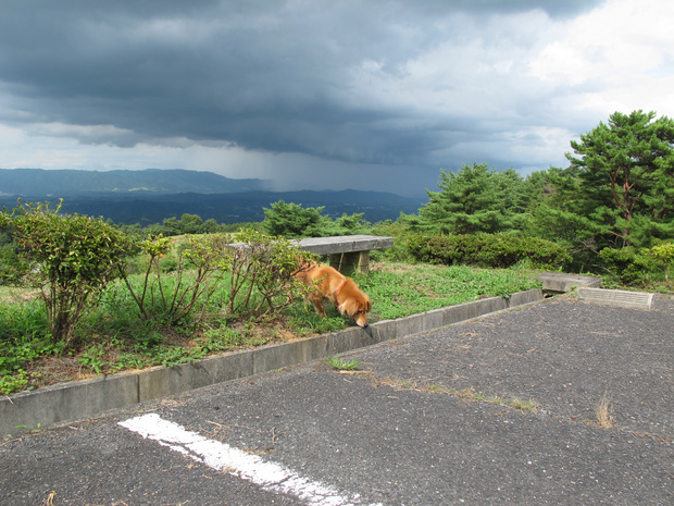 ����Ȃ��ƁE����Ȃ���