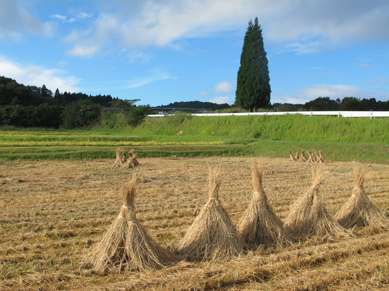 ����Ȃ��ƁE����Ȃ���