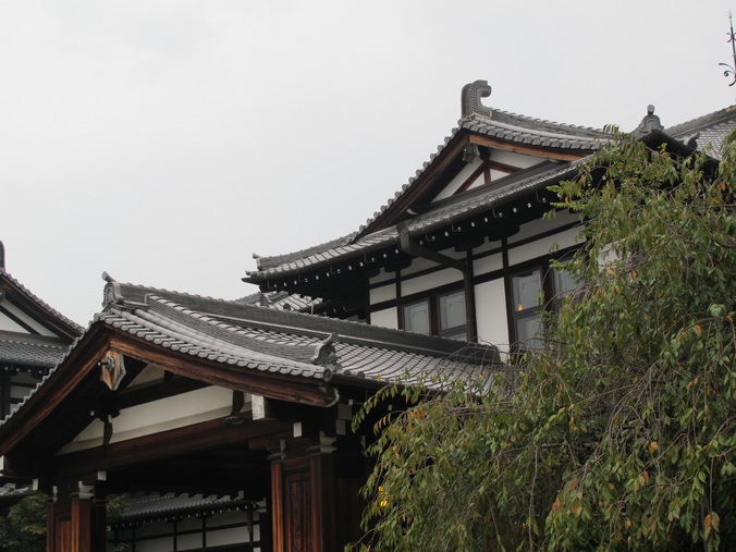 ����Ȃ��ƁE����Ȃ���