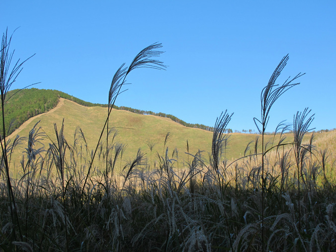 ����Ȃ��ƁE����Ȃ���