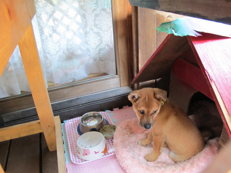 ����Ȃ��ƁE����Ȃ���