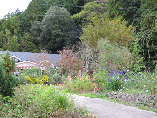 ����Ȃ��ƁE����Ȃ���