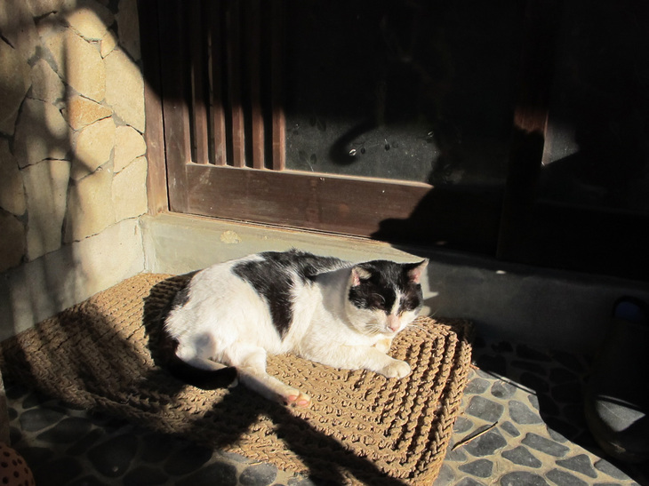 ����Ȃ��ƁE����Ȃ���