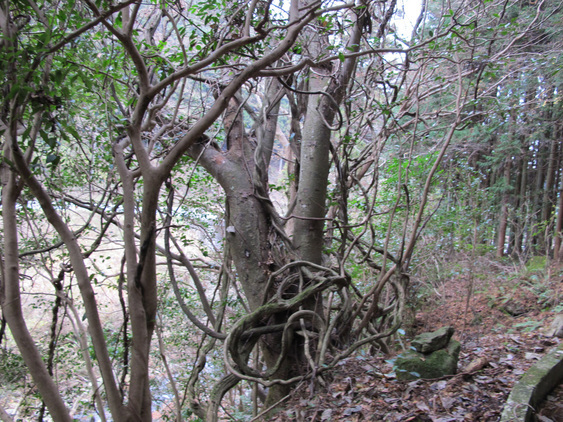 ����Ȃ��ƁE����Ȃ���