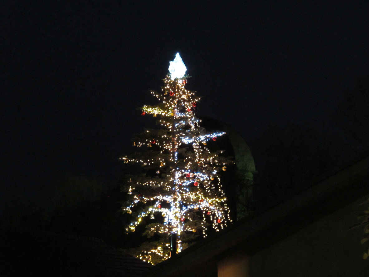 ����Ȃ��ƁE����Ȃ���