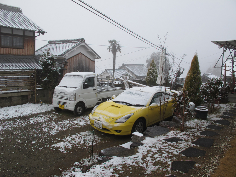 ����Ȃ��ƁE����Ȃ���