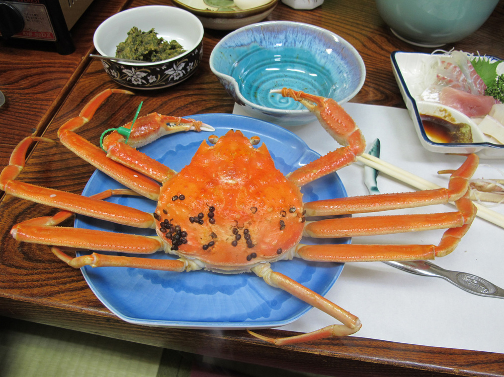 ����Ȃ��ƁE����Ȃ���