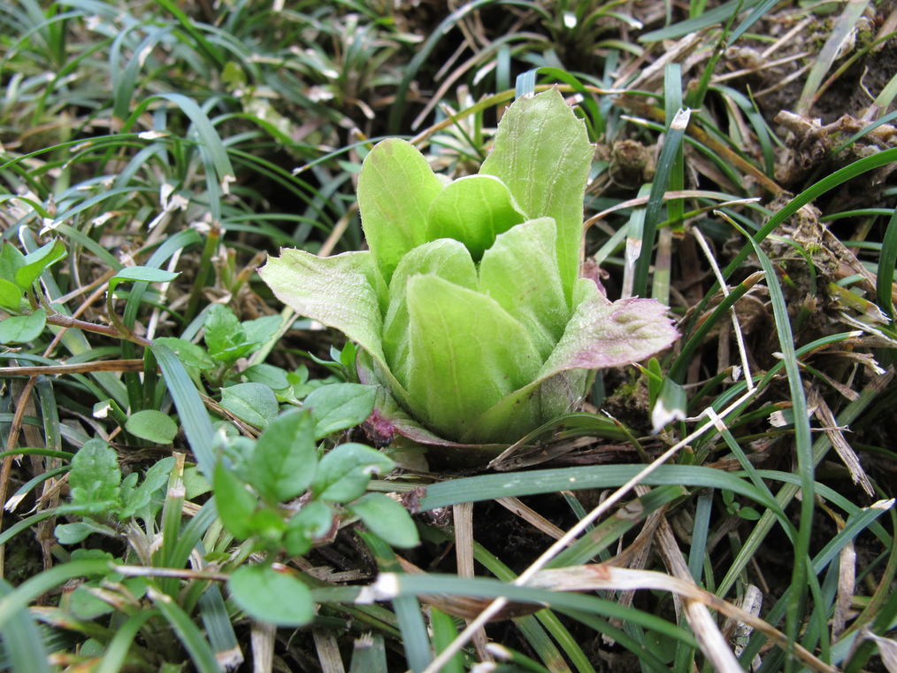 ����Ȃ��ƁE����Ȃ���