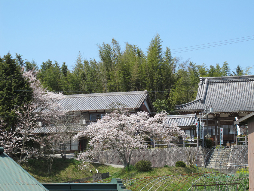 ����Ȃ��ƁE����Ȃ���