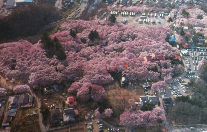 ����Ȃ��ƁE����Ȃ���