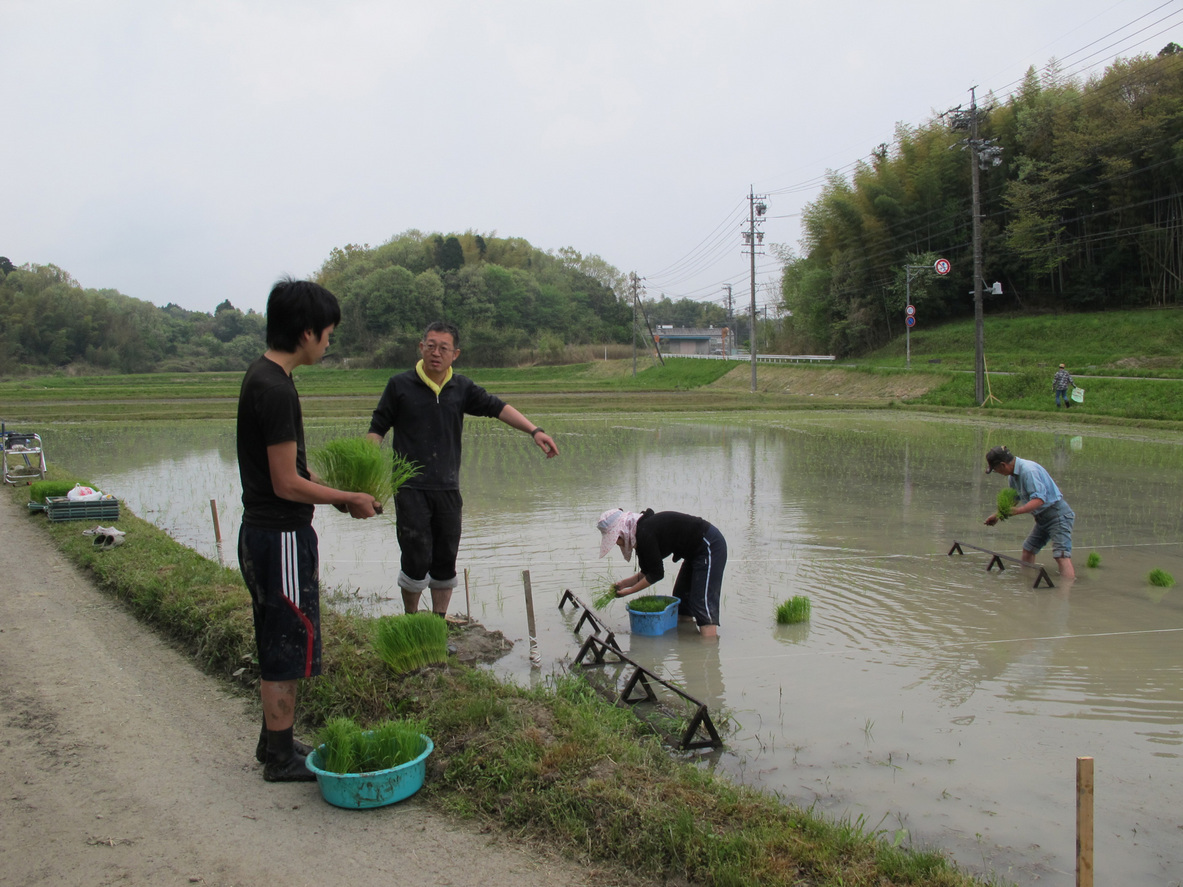 ����Ȃ��ƁE����Ȃ���