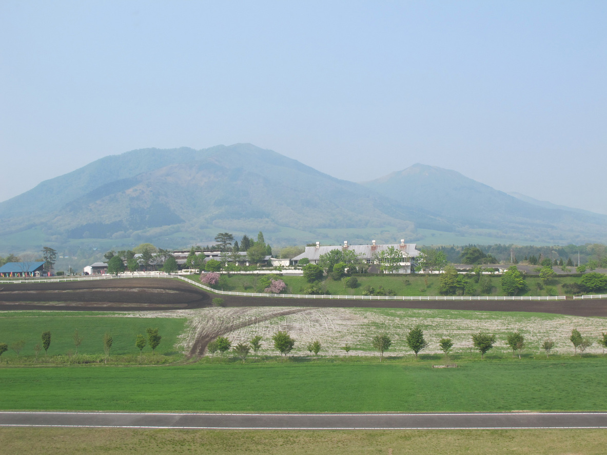 ����Ȃ��ƁE����Ȃ���