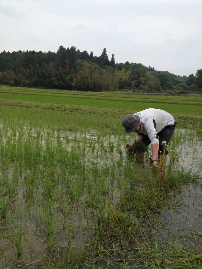 ����Ȃ��ƁE����Ȃ���