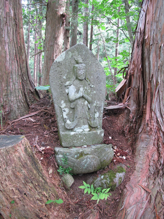 ����Ȃ��ƁE����Ȃ���