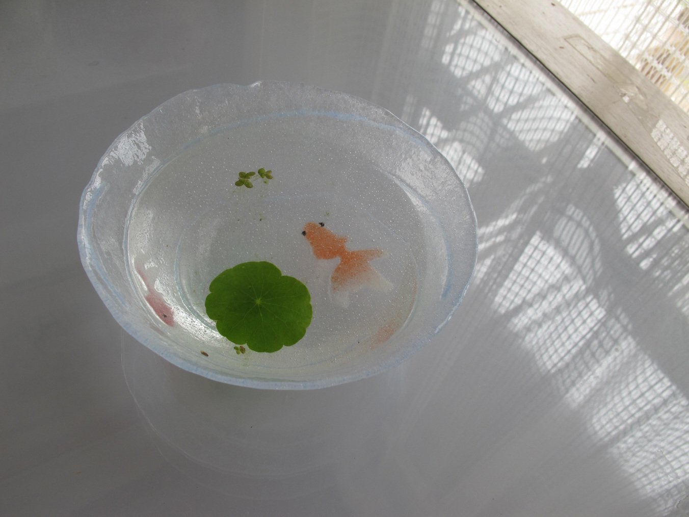 ����Ȃ��ƁE����Ȃ���