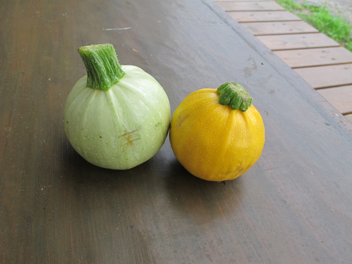 ����Ȃ��ƁE����Ȃ���