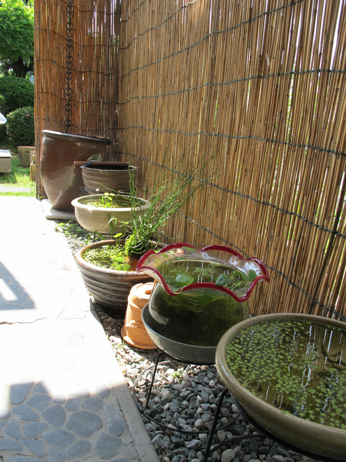 ����Ȃ��ƁE����Ȃ���