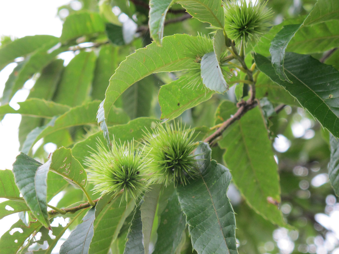 ����Ȃ��ƁE����Ȃ���