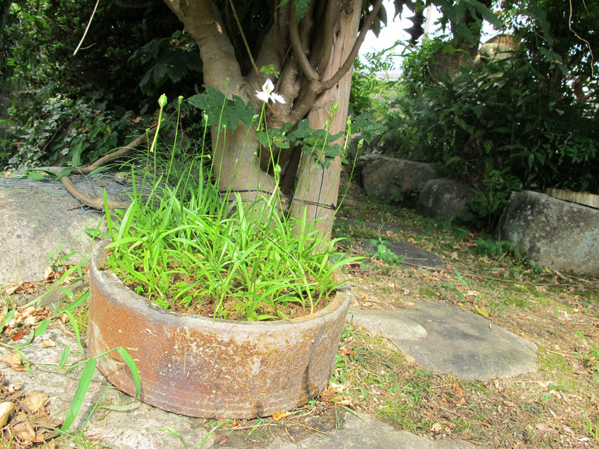 ����Ȃ��ƁE����Ȃ���