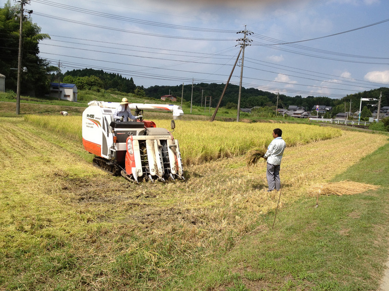 ����Ȃ��ƁE����Ȃ���