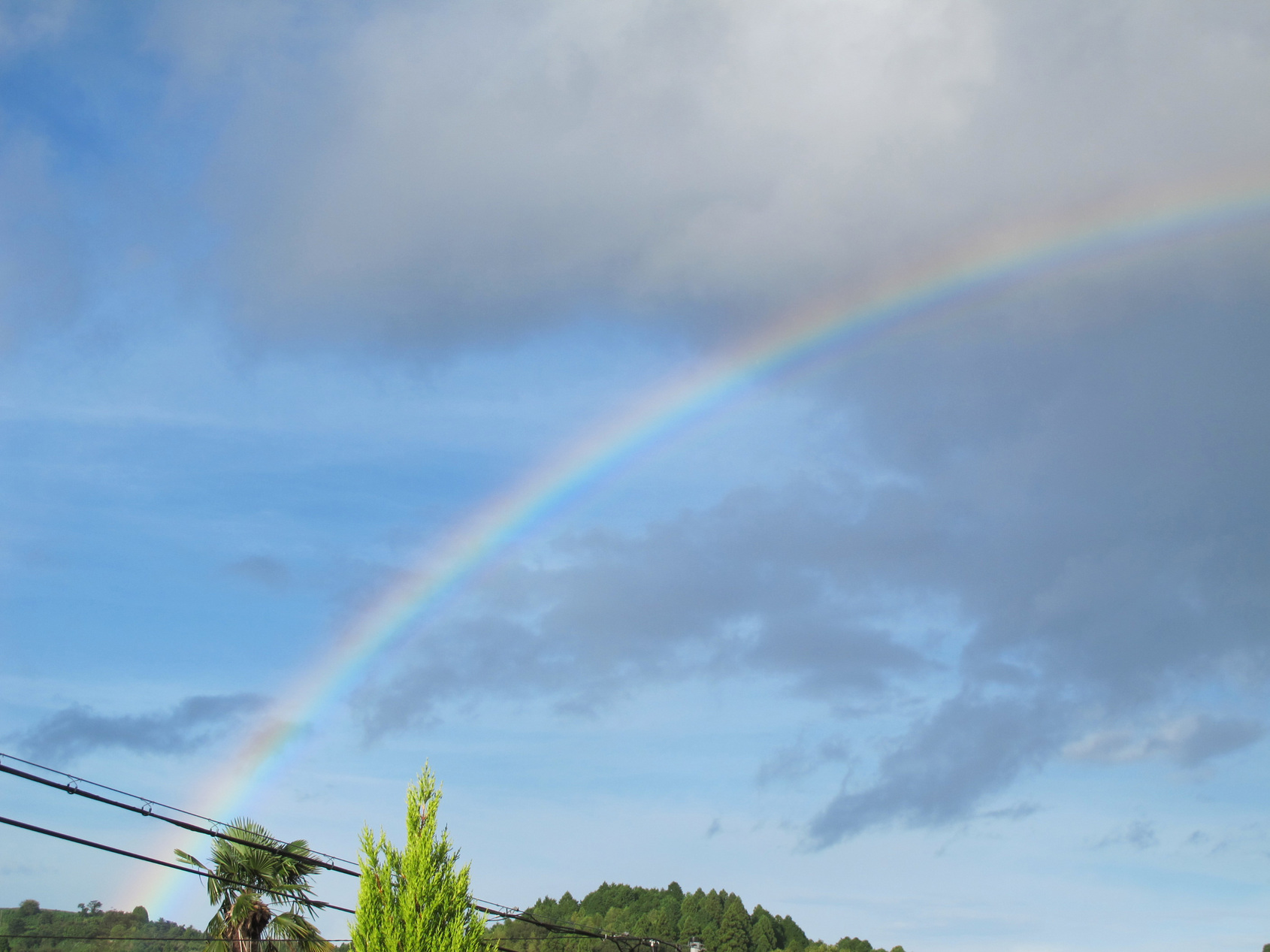 ����Ȃ��ƁE����Ȃ���