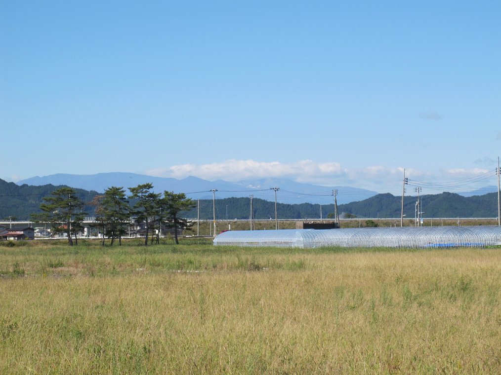 ����Ȃ��ƁE����Ȃ���