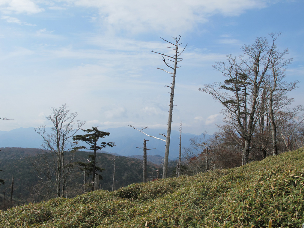 ����Ȃ��ƁE����Ȃ���