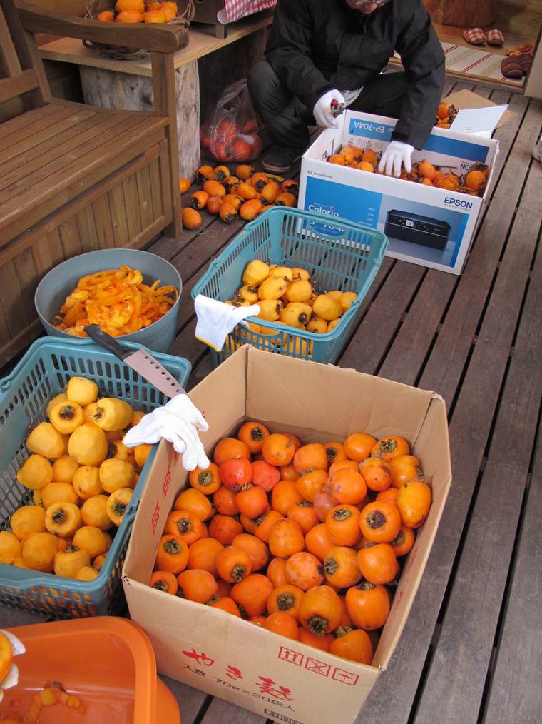 ����Ȃ��ƁE����Ȃ���