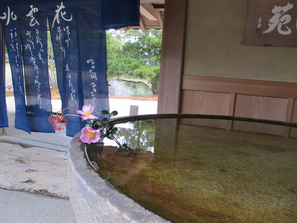 ����Ȃ��ƁE����Ȃ���